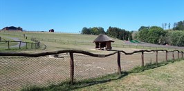 Farmapark Soběhrdy camel